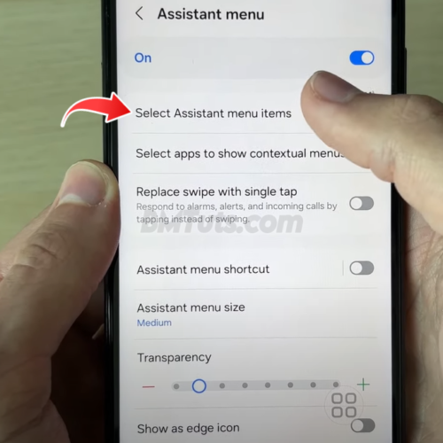 Enable Assistant Menu